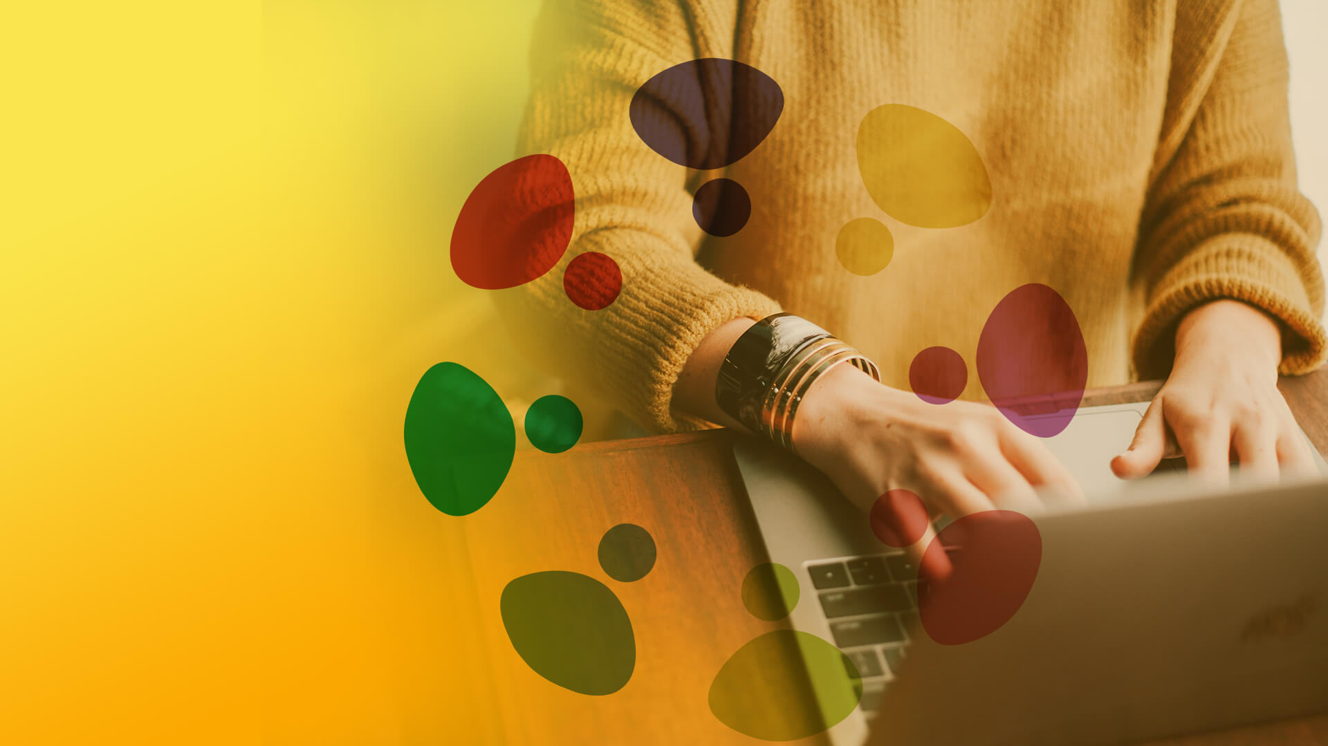 banner-top-image